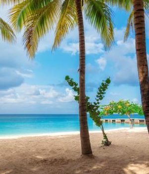 How To Experience Montego Bay, Jamaica