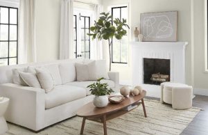 Behr Paint Company reveals 2023 Color of the Year: ‘Limitless design and décor possibilities’