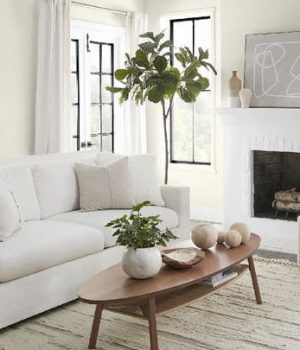 Behr Paint Company reveals 2023 Color of the Year: ‘Limitless design and décor possibilities’