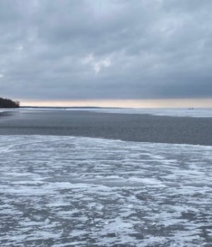 ‘No longer safe’: Around 200 people rescued from broken ice chunk in Minnesota