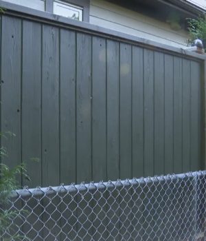 South Surrey neighbourhood shaken by racist graffiti
