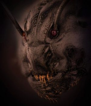 Terrifying close-up of an ant’s face gives horror movie monsters a run for their money