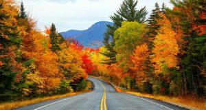First day of fall 2022: What to know about the autumn equinox