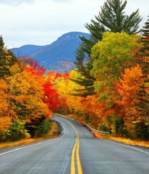 First day of fall 2022: What to know about the autumn equinox